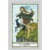 Tarot Druid Kraft. Wartington U.
