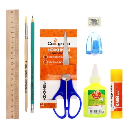 A4 labor folder, PVC textiles, with handles, folding, on Velcro, with a filling of 10 items, calligrata, PTR-10, "anime"-11