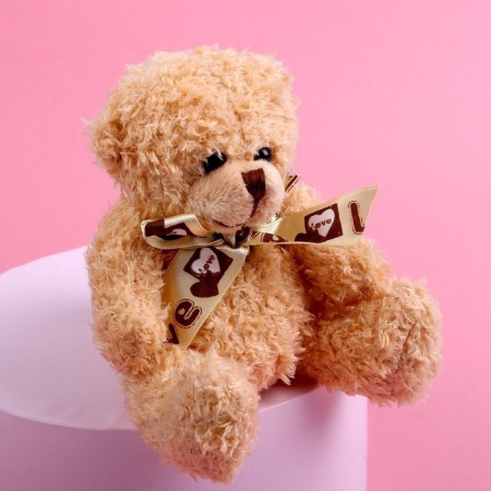 Soft toy "for you"-6