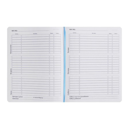 School diary, grade 5-11, PVC Oleni, Violet PVC cover-3