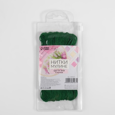 Muline threads, 8 ± 1 m, color malachite No. 3818-4