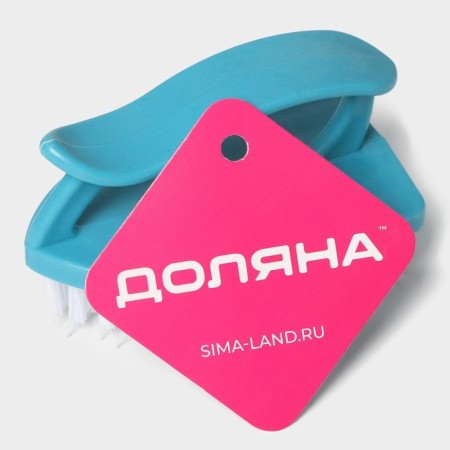 Brush-mustoclabox of Dolyana, 10 × 6 × 5.5 cm, color mix-6