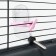 Drill for rodents with a metal nose, 60 ml, transparent with pink fastening