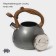 A kettle with a stainless steel whistle Magistro Stone, 2.7 L, Soft-Touch pen, induction, color gray