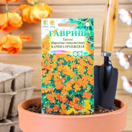 Flower seeds of velvet "Karina Orange", thin -leaved, 0.05 g