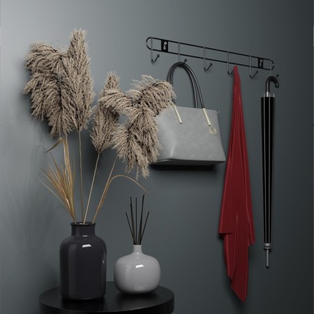 The hanger wall -mounted on 6 hooks of the share "Summer", 33 × 3.5 × 5 cm, silver color-4