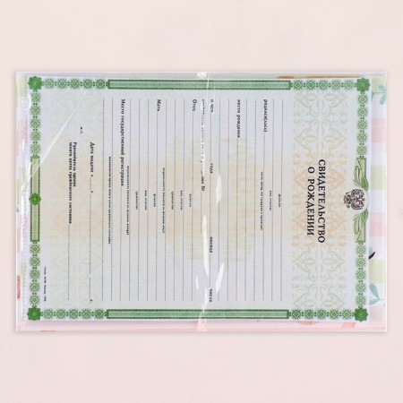 The folder for the birth certificate "Funny animals" Giraffe, A5-4