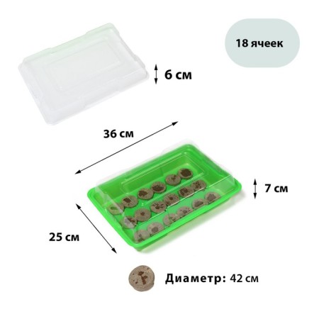 Mini-Pirate for seedlings: peat tablet D = 4.2 cm (18 pcs.), Greenhouse 36 × 25 cm, green