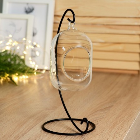Florarium "cylinder" 12x8 cm on suspension (23 cm)