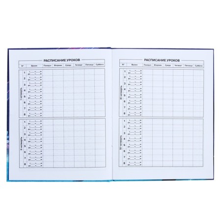 Universal Grade 1-11 Diary, 48 sheets "Magic World", hard cover, Soft Touch lamination, foil embossing, offset block-6