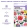 Seeds of Tsinnia Zhara "Northern Star", 5 pcs