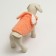 Bunny costume ", size XS (DS 20 cm, Osh 21 cm. OG 30 cm), orange