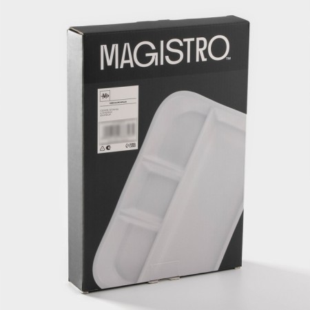 Menzhitsa Porcelain 4 Magistro cells "Blanche", 31 × 21 × 3.5 cm, white color-3