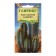 Semyon Cereus "Bambino", 4 pcs.