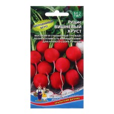 Seeds Radis 