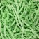 Paper filler, light green, 50 g