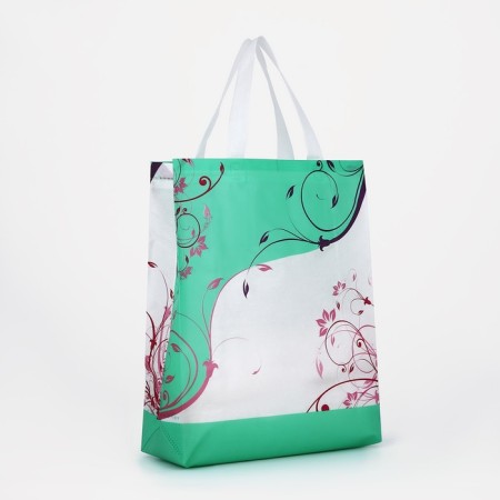 Household bag without fastening, green color