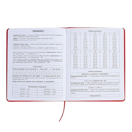 The universal diary for the 1-11 classes "Anime", a solid cover made of artificial leather, application, lies, 48 ​​sheets, red-7