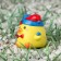 Duckling on the car panel, circus, yellow