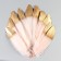 A set of goose feathers 15-20 cm, 10 pcs, light pink with gold