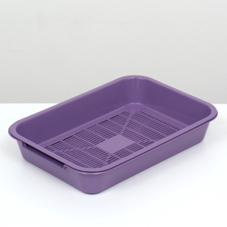 A medium toilet with a mesh of 36 x 26 x 6.5 cm, purple,-3