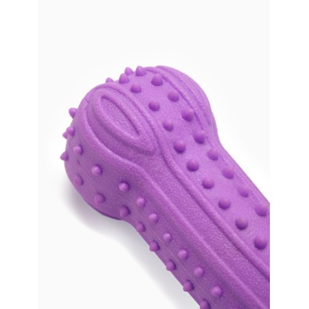 Chewing toy "chubby bone", tpr, 12.8 cm, purple-2