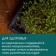 Coconut fiber rug, for growing microwaves, 50 × 25 cm, Greengo