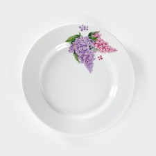 Porcelain plate 