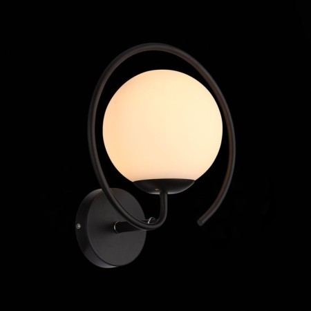 Wall lamp EVOLUCE. SL418.401.01. Galio. 1x60 W, E27, 30x23 cm, black color-1