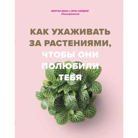 How to care for plants so that they love you