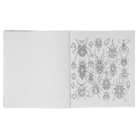 “Fantomorphoses. Extreme coloring pages ”, Rosanes K.-7