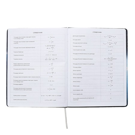 Universal diary for grade 1-11 Football Time, solid cover, artificial leather, foam rubber, liesse, 80 g/m2-10