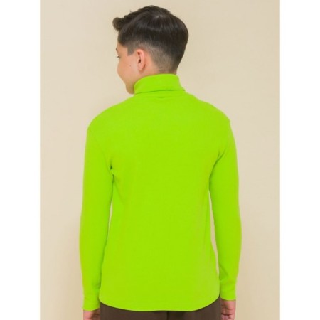 Turtleneck for the boy Pelican, height 104 cm, green color-1