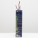 Grape seedling delight, spring 2024, 1 pc.