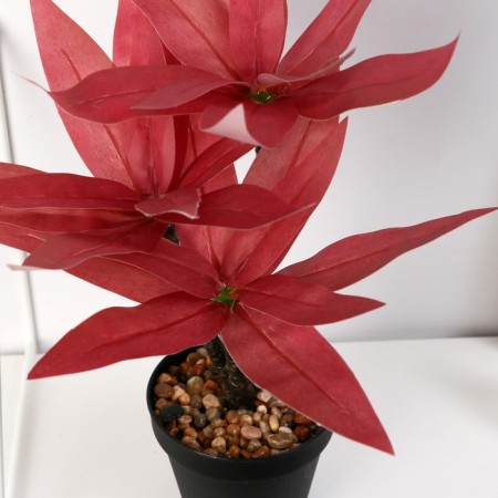 Bonsai in the pot "Tradescantia Color" 10x26 cm, mix-1