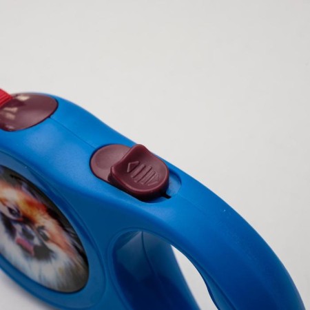 Roulette with a print "cutie", 3 m, animal weight up to 12 kg, blue-1