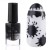 №02 Black