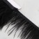 Braid with ostrich feathers, 8-10 cm, 5 ± 0.5 m, black color