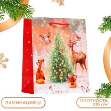Gift package 