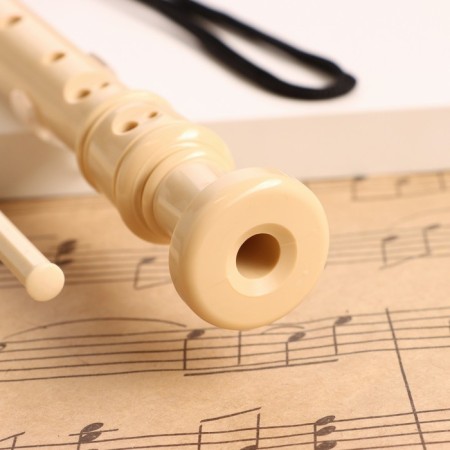 Music Life Blockflate, 8 holes, white cover, ramrod, 30 cm-1