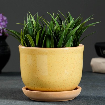 Flower pot "Lomonosovsky" yellow 0.7 l