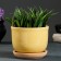 Flower pot "Lomonosovsky" yellow 0.7 l