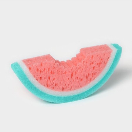 Sponge "Watermelon", 20 × 9 × 3 cm