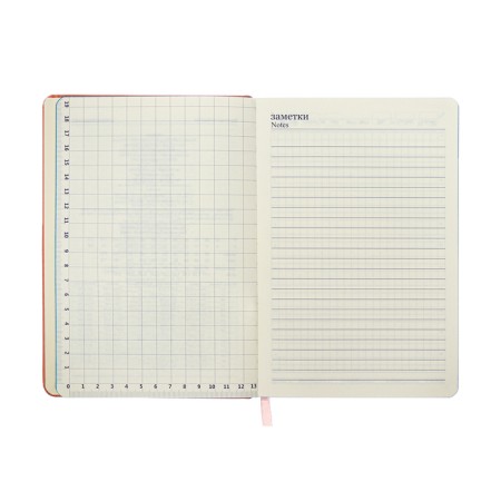 Leduced Diary A5, 140l, Cage, leatherette, elastic band, turquoise slice, peach-10