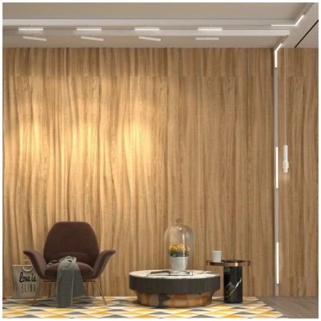 A track lamp for a low -speed busbard is dimmed with the remote control remote control. Flum, 24W, LED, 22x254x236 mm, white color-4