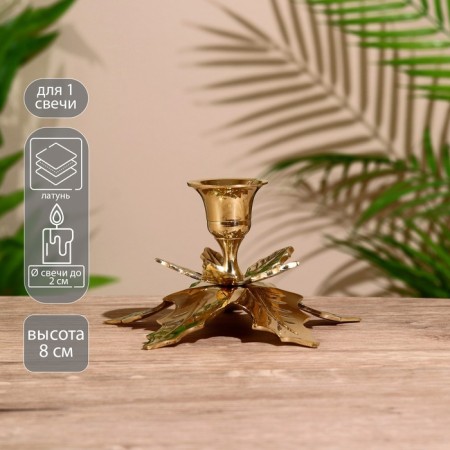 Climb "Liszt" Brass 8 cm
