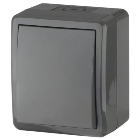IP54, 10AX-250V switch, OU, Era Expert, Gray