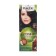 Cream-coloring hair Palette phytolinia, tone 900, black