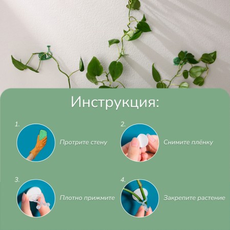 Fastards for climbing plants, wall, self -adhesive, “snail”, d = 10 mm, Greengo-3