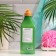 Shower Mate Olives and Green Tea, 550 ml shower